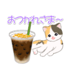 まったり三毛猫の毎日（個別スタンプ：14）