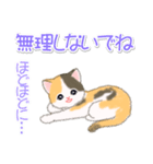 まったり三毛猫の毎日（個別スタンプ：16）