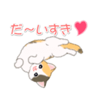 まったり三毛猫の毎日（個別スタンプ：19）