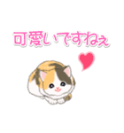 まったり三毛猫の毎日（個別スタンプ：24）