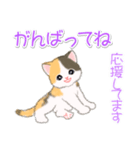 まったり三毛猫の毎日（個別スタンプ：25）
