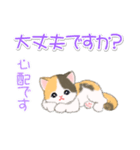 まったり三毛猫の毎日（個別スタンプ：26）