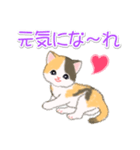 まったり三毛猫の毎日（個別スタンプ：27）