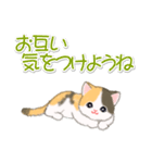 まったり三毛猫の毎日（個別スタンプ：28）
