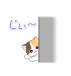 まったり三毛猫の毎日（個別スタンプ：29）