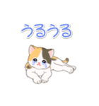 まったり三毛猫の毎日（個別スタンプ：32）