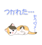 まったり三毛猫の毎日（個別スタンプ：37）