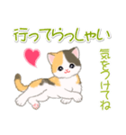 まったり三毛猫の毎日（個別スタンプ：38）