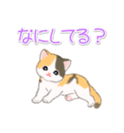 まったり三毛猫の毎日（個別スタンプ：39）