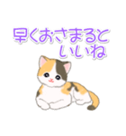 まったり三毛猫の毎日（個別スタンプ：40）