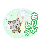 さわやか♪ねこまみれの日常・挨拶（個別スタンプ：6）