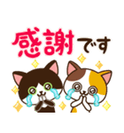 さわやか♪ねこまみれの日常・挨拶（個別スタンプ：8）