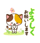 さわやか♪ねこまみれの日常・挨拶（個別スタンプ：17）