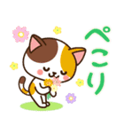 さわやか♪ねこまみれの日常・挨拶（個別スタンプ：33）