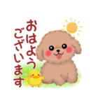 毎日使える春のかわいいトイプードル（個別スタンプ：2）