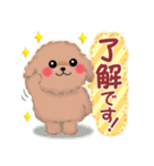 毎日使える春のかわいいトイプードル（個別スタンプ：5）