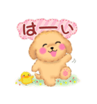 毎日使える春のかわいいトイプードル（個別スタンプ：7）