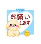 毎日使える春のかわいいトイプードル（個別スタンプ：12）