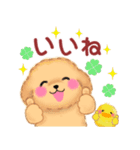 毎日使える春のかわいいトイプードル（個別スタンプ：13）
