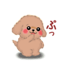 毎日使える春のかわいいトイプードル（個別スタンプ：14）