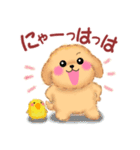 毎日使える春のかわいいトイプードル（個別スタンプ：16）