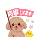 毎日使える春のかわいいトイプードル（個別スタンプ：17）