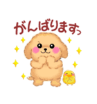 毎日使える春のかわいいトイプードル（個別スタンプ：19）