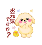 毎日使える春のかわいいトイプードル（個別スタンプ：21）
