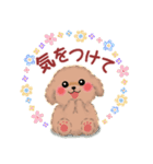 毎日使える春のかわいいトイプードル（個別スタンプ：23）