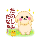 毎日使える春のかわいいトイプードル（個別スタンプ：24）