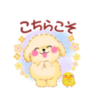 毎日使える春のかわいいトイプードル（個別スタンプ：27）