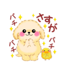毎日使える春のかわいいトイプードル（個別スタンプ：31）