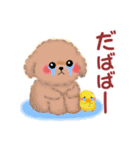 毎日使える春のかわいいトイプードル（個別スタンプ：36）