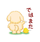 毎日使える春のかわいいトイプードル（個別スタンプ：37）