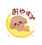 毎日使える春のかわいいトイプードル（個別スタンプ：39）
