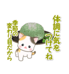 ベビーにゃんこと春スイーツ（個別スタンプ：11）