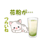 ベビーにゃんこと春スイーツ（個別スタンプ：12）