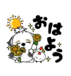 シーズー犬 104『花束と一緒に』（個別スタンプ：1）