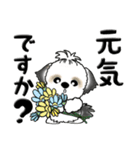 シーズー犬 104『花束と一緒に』（個別スタンプ：6）