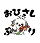 シーズー犬 104『花束と一緒に』（個別スタンプ：9）