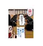 逃げ上手の若君(松井優征)（個別スタンプ：34）