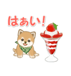 よちよち豆柴と春スイーツ（個別スタンプ：1）