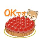 よちよち豆柴と春スイーツ（個別スタンプ：3）