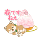 よちよち豆柴と春スイーツ（個別スタンプ：7）