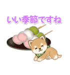 よちよち豆柴と春スイーツ（個別スタンプ：8）