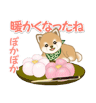 よちよち豆柴と春スイーツ（個別スタンプ：9）