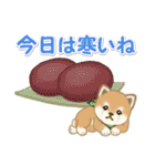 よちよち豆柴と春スイーツ（個別スタンプ：10）