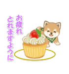 よちよち豆柴と春スイーツ（個別スタンプ：16）