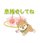 よちよち豆柴と春スイーツ（個別スタンプ：20）