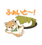よちよち豆柴と春スイーツ（個別スタンプ：25）
